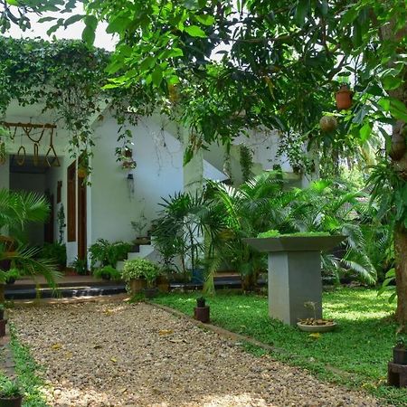 Menara Green Inn Dambulla Esterno foto