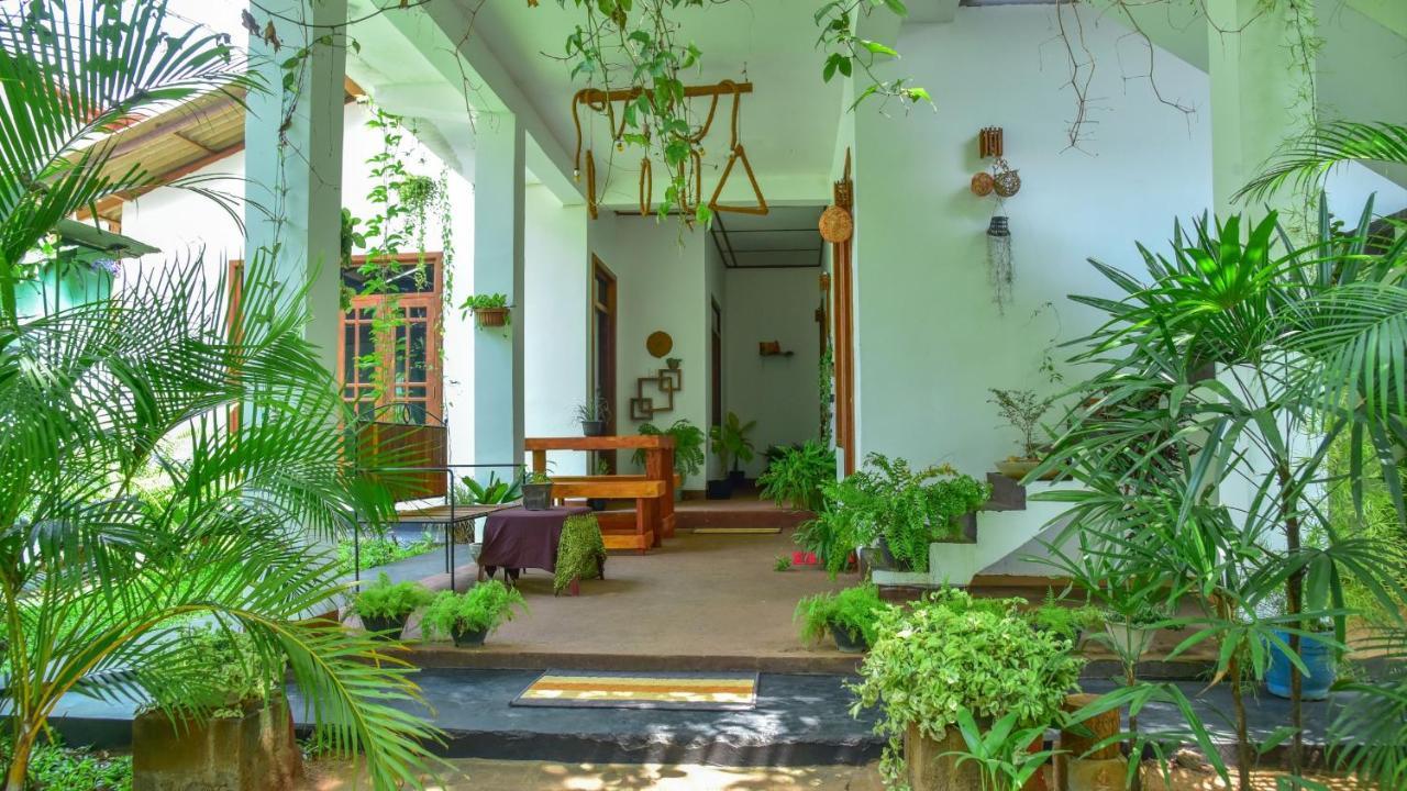 Menara Green Inn Dambulla Esterno foto