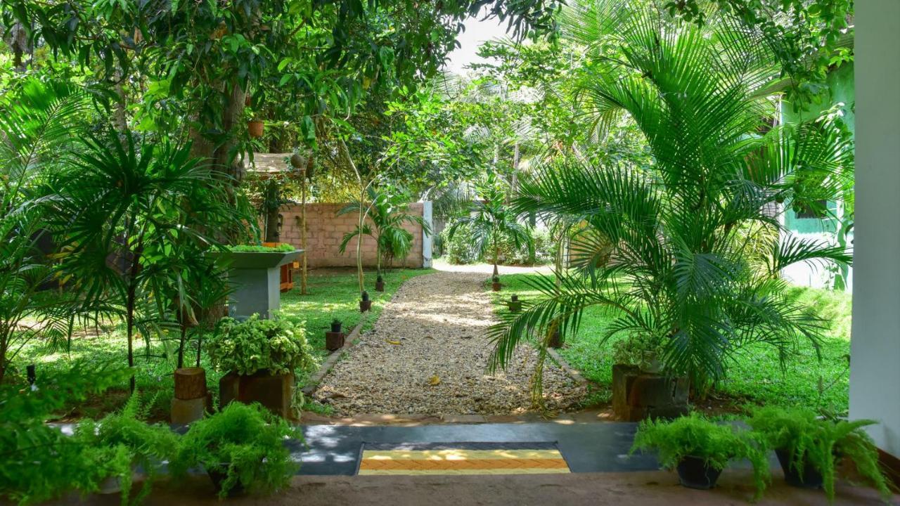 Menara Green Inn Dambulla Esterno foto