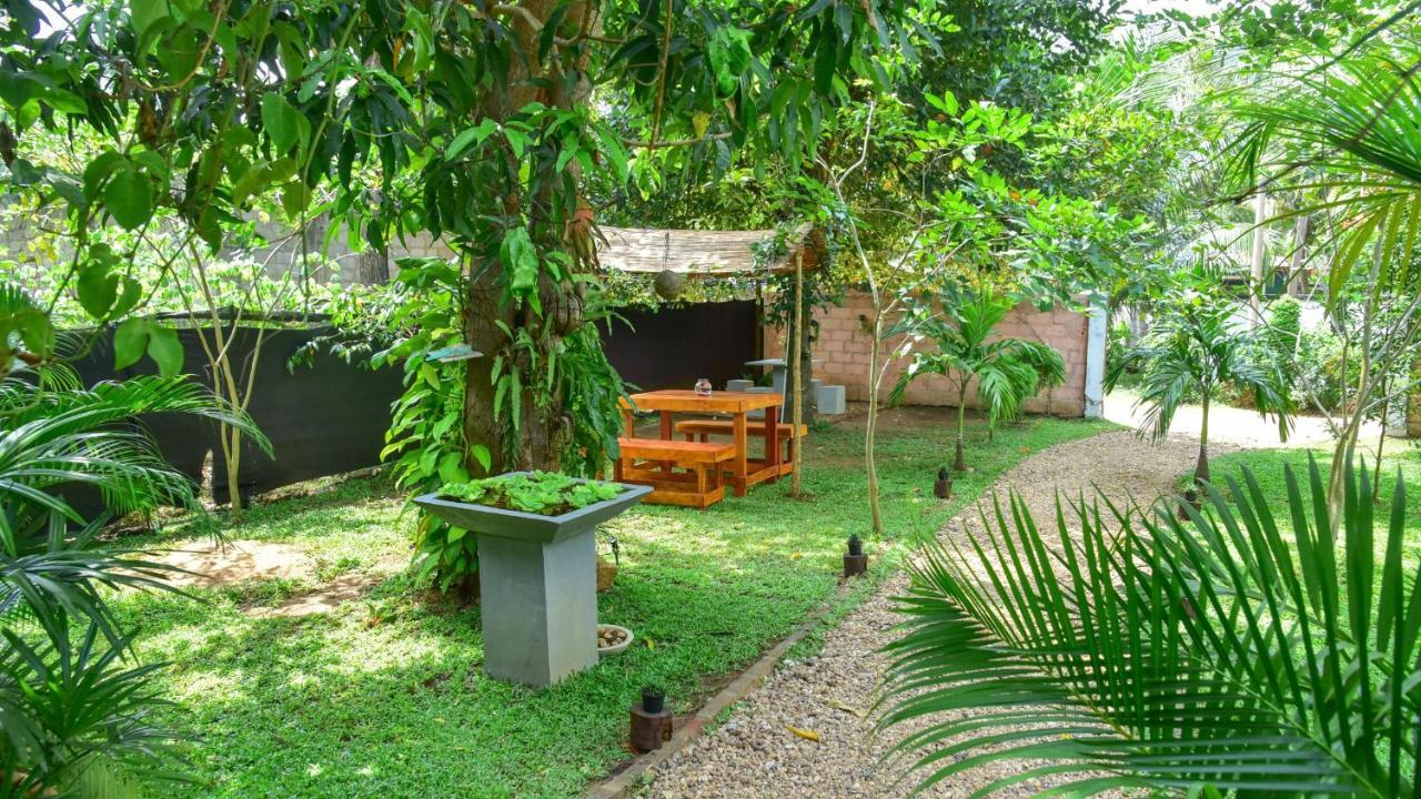 Menara Green Inn Dambulla Esterno foto