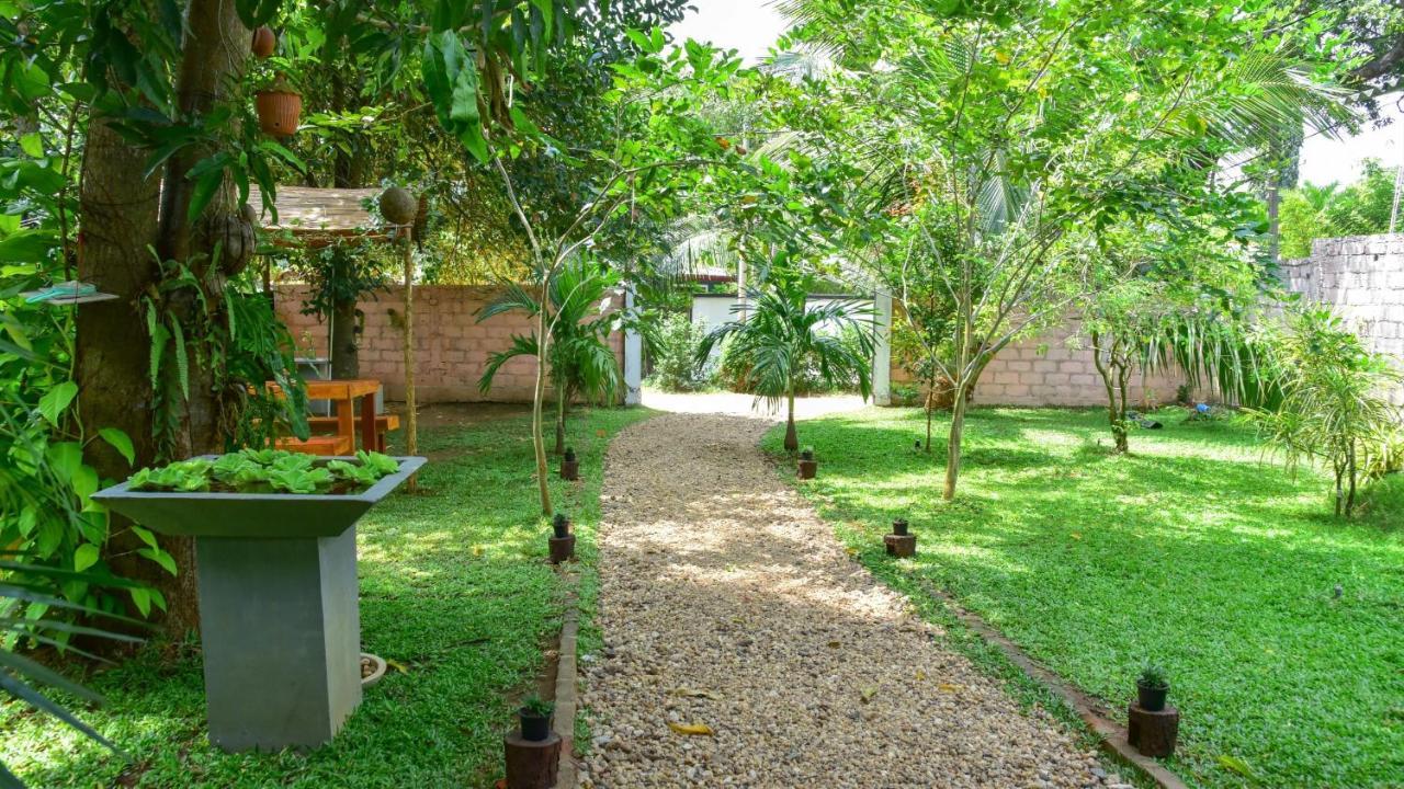 Menara Green Inn Dambulla Esterno foto