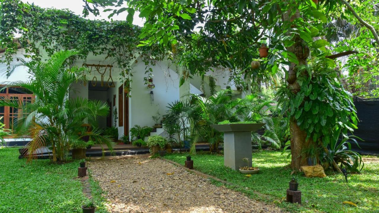 Menara Green Inn Dambulla Esterno foto