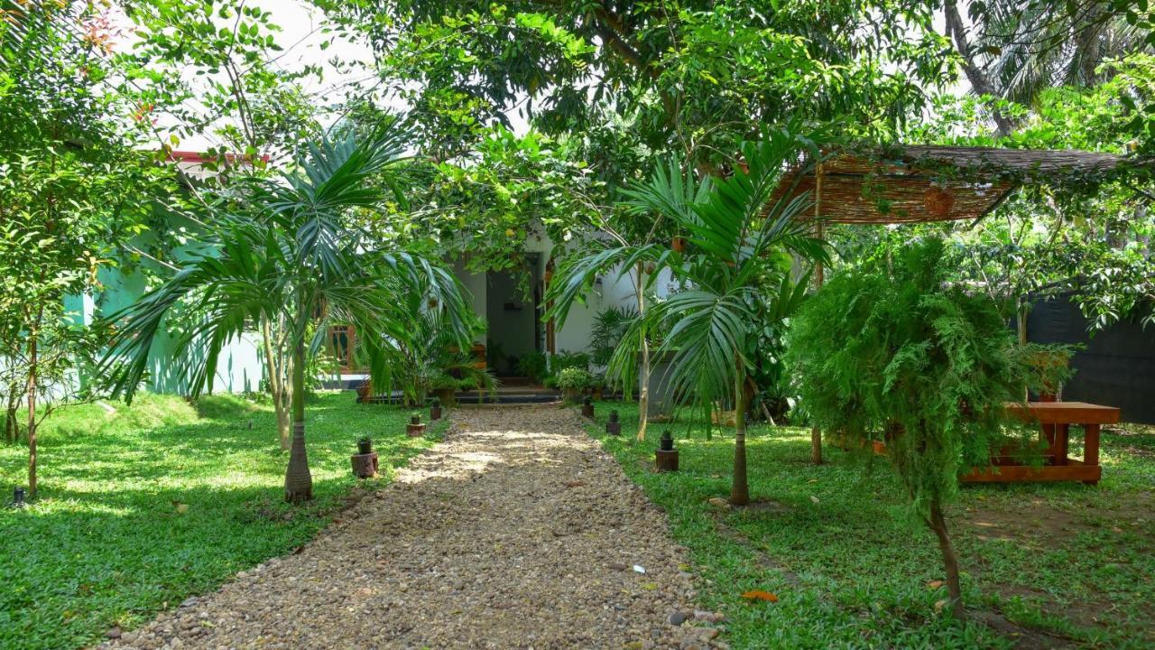 Menara Green Inn Dambulla Esterno foto