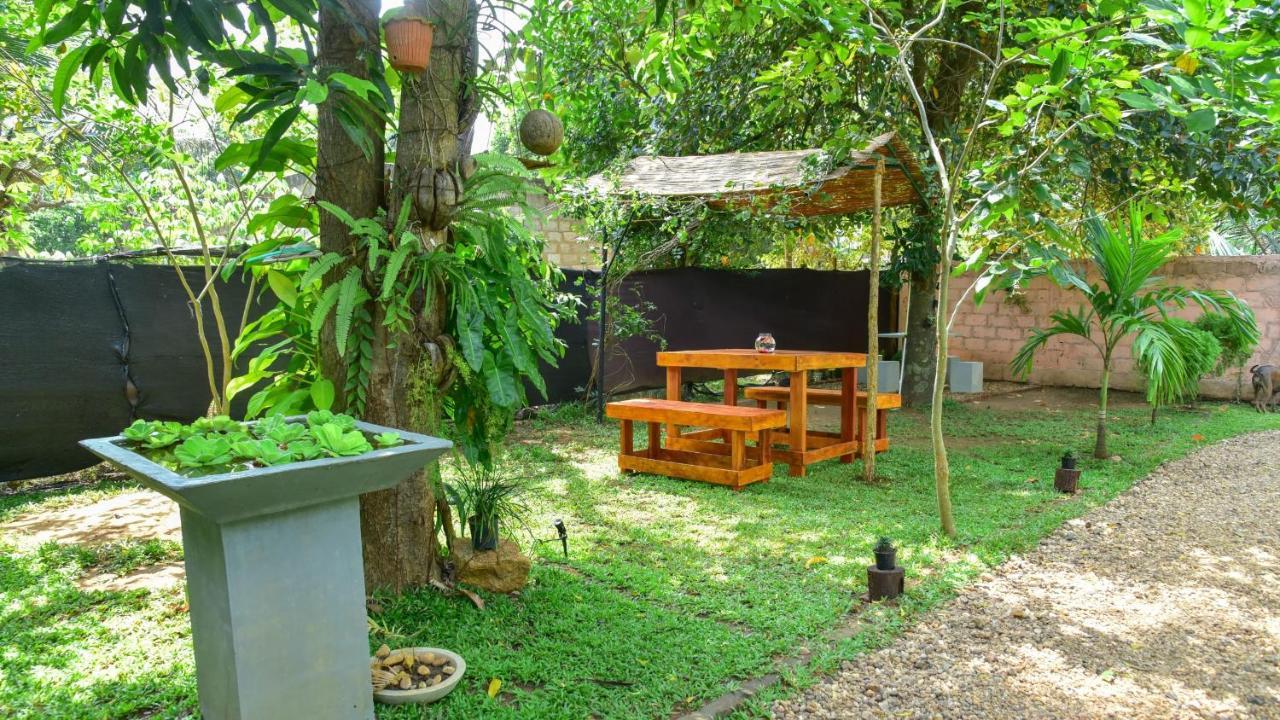 Menara Green Inn Dambulla Esterno foto